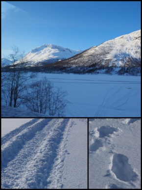 Nördich om Polarkries/ Norwegen